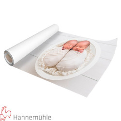 Poster 30x100